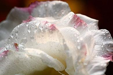 《斯普拉遁3》9月9日登陆Switch 系列首次支持中文